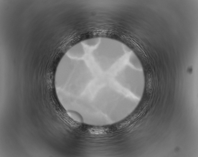 X0000116800661201001291541