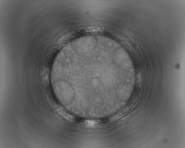 X0000116800662201001291541