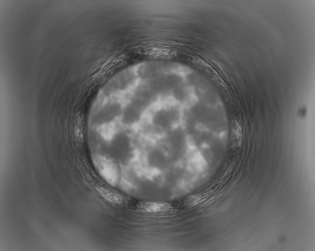 X0000116800663201001291541