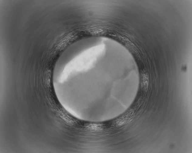 X0000116800664201001291541