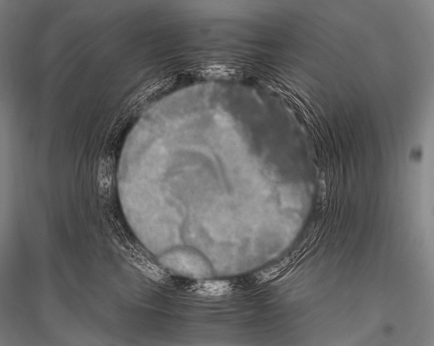 X0000116800665201001291541