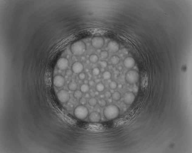 X0000116800666201001291541
