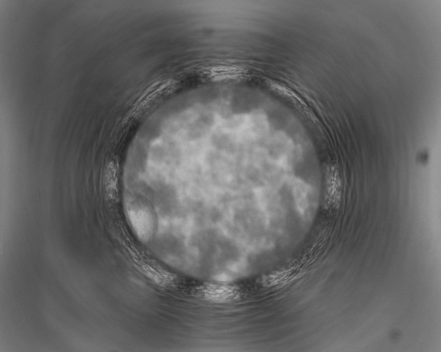 X0000116800667201001291541