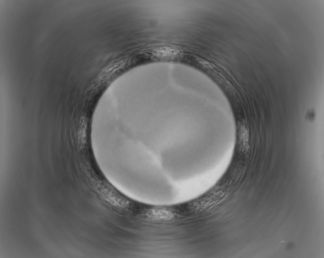 X0000116800668201001291541