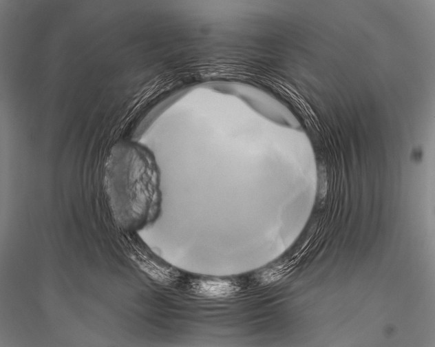 X0000116800669201001291541