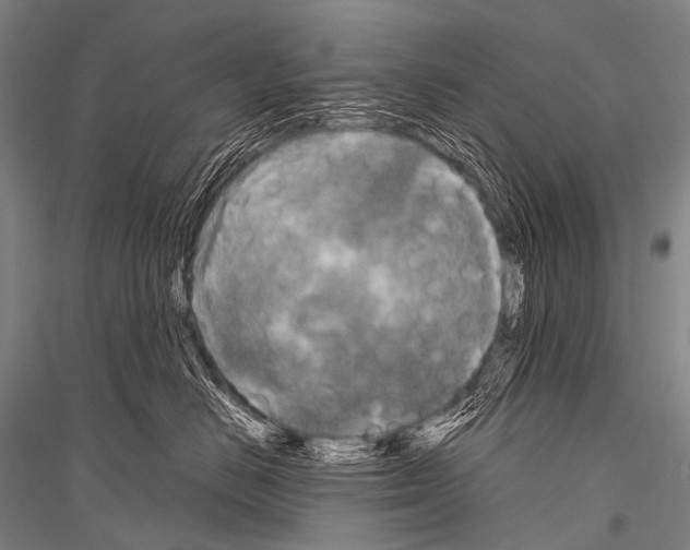 X0000116800670201001291541