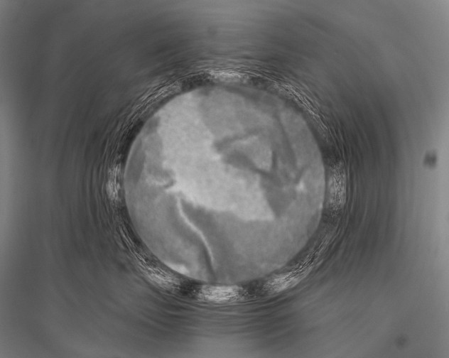 X0000116800671201001291541
