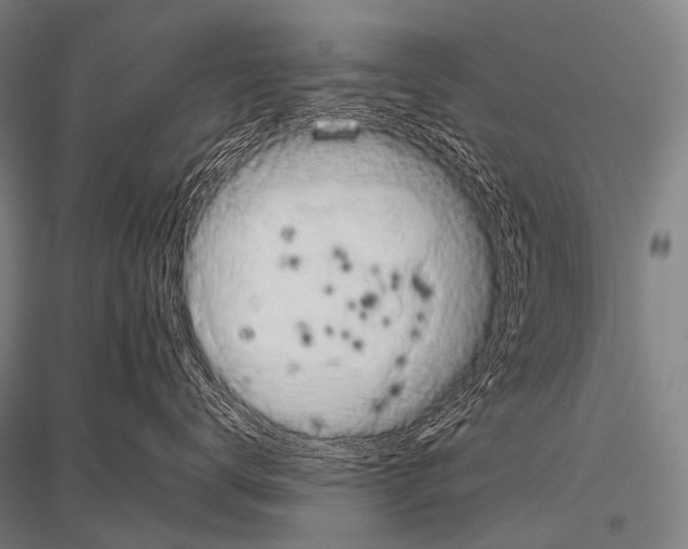 X0000116800672201001291541