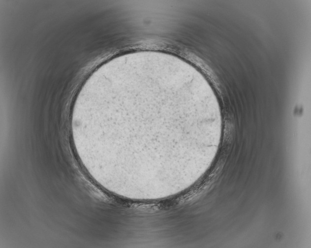 X0000116800673201001291541