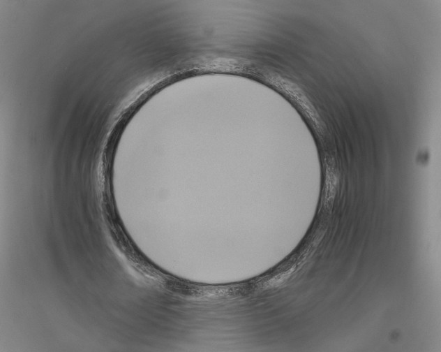 X0000116800674201001291541