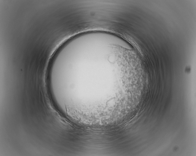 X0000116800676201001291541