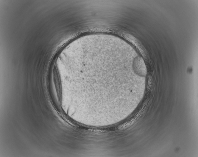 X0000116800677201001291541