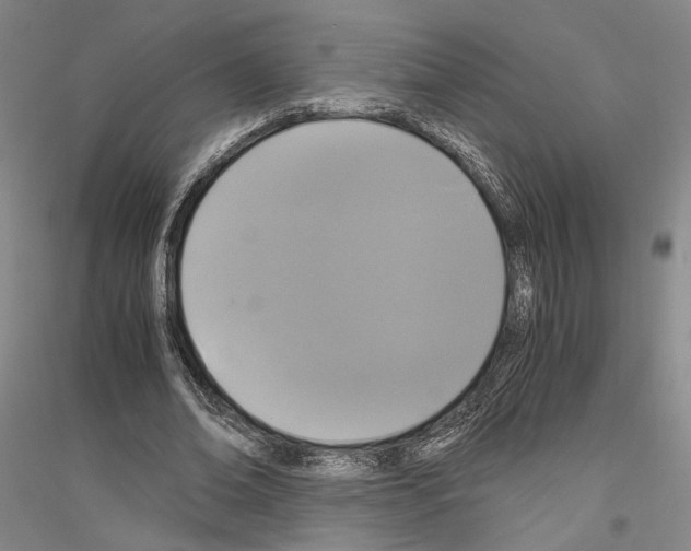 X0000116800678201001291541