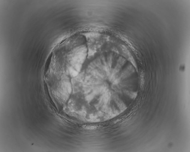 X0000116800679201001291541