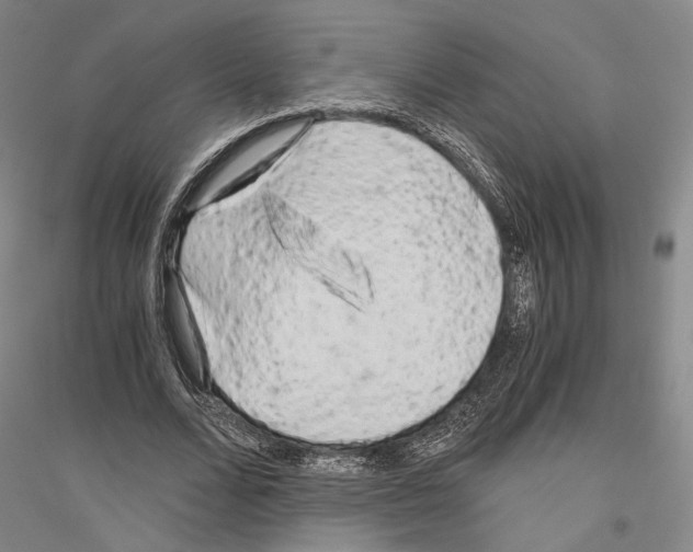 X0000116800680201001291541
