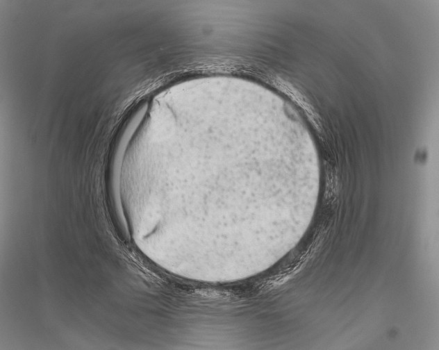 X0000116800681201001291541