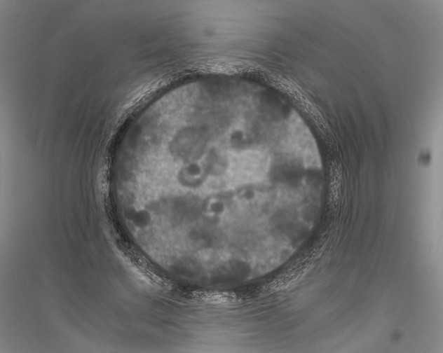 X0000116800683201001291541