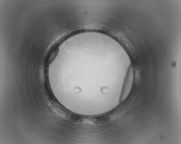 X0000116800684201001291541