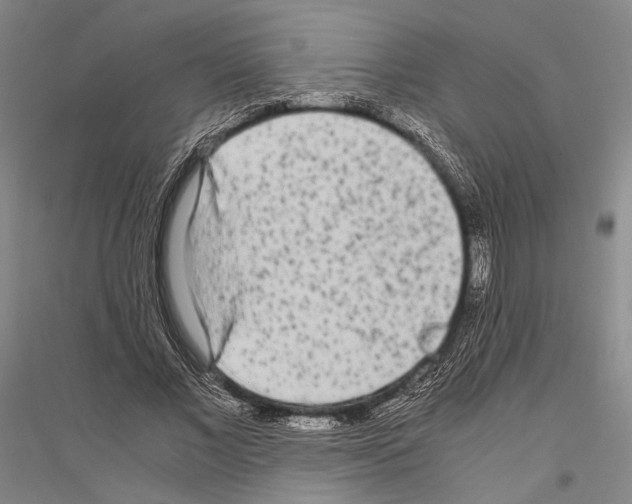 X0000116800685201001291541