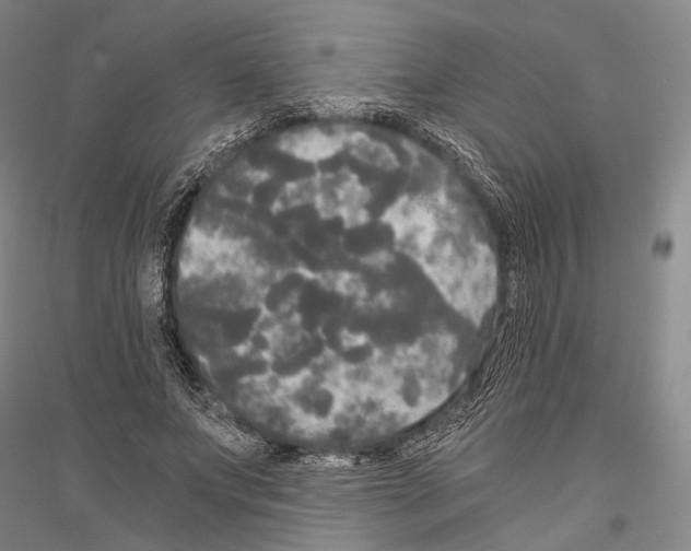 X0000116800687201001291541