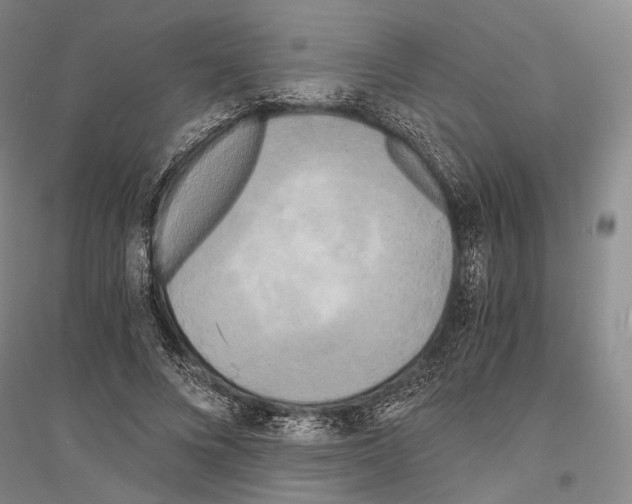 X0000116800688201001291541