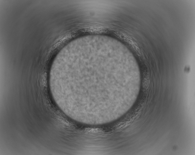 X0000116800689201001291541