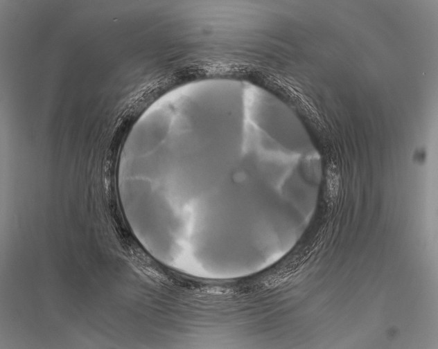 X0000116800691201001291540