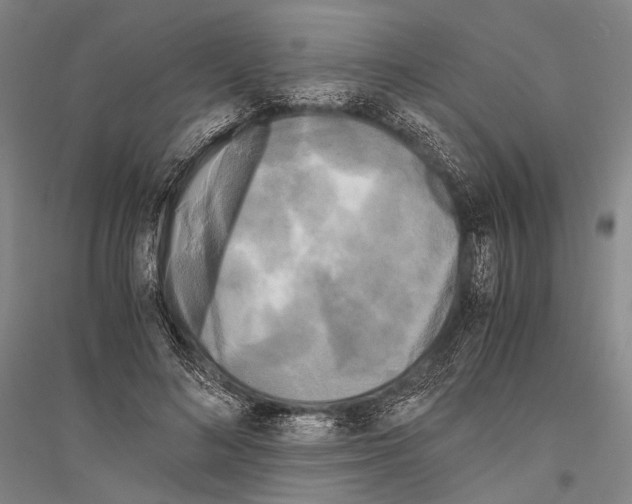 X0000116800692201001291540