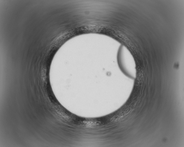 X0000116800693201001291540