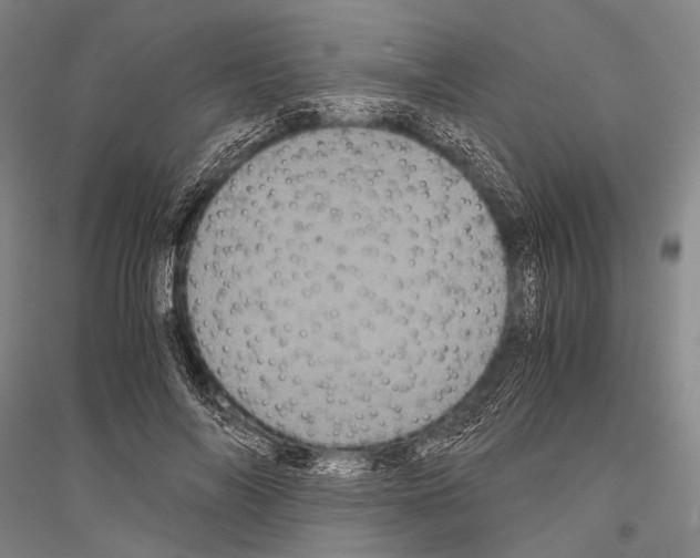 X0000116800694201001291540