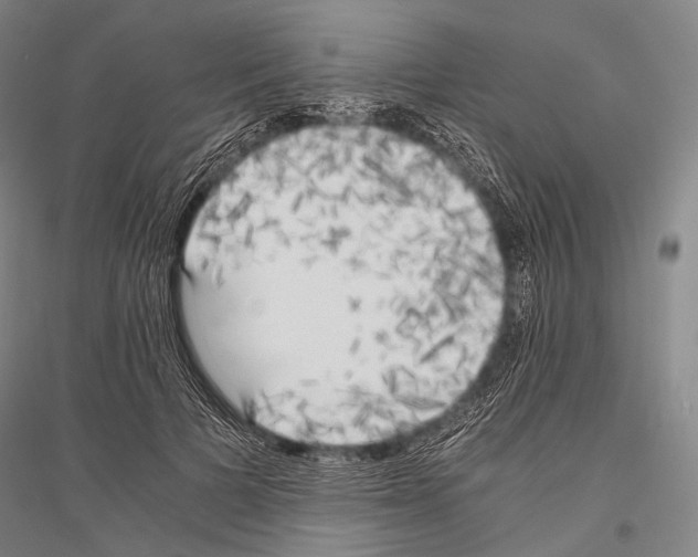 X0000116800697201001291540