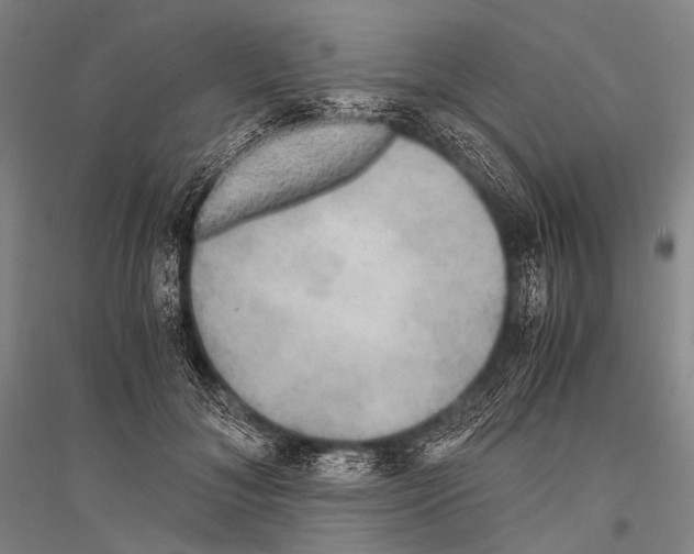 X0000116800700201001291540