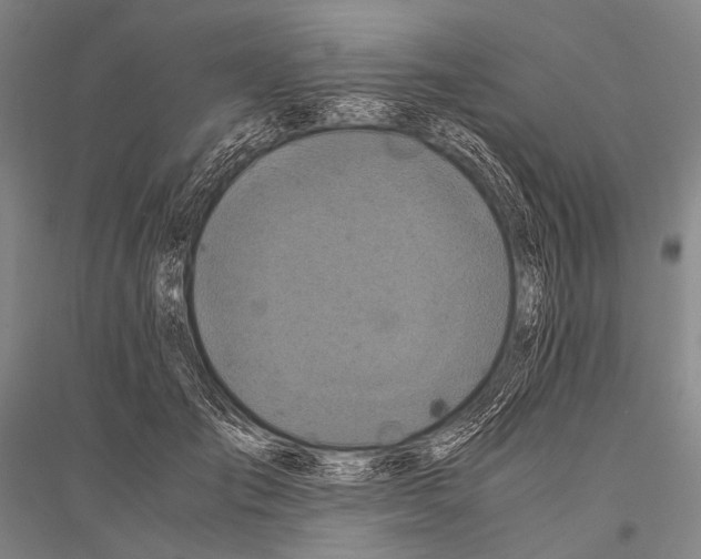 X0000116800701201001291540