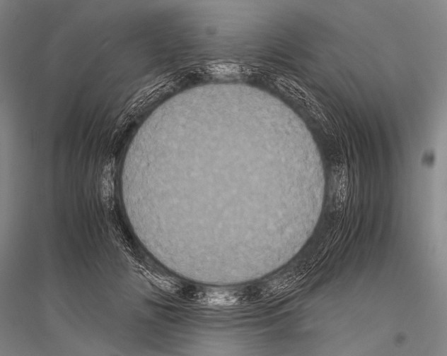 X0000116800702201001291540