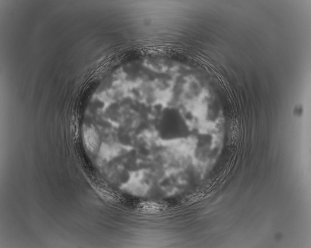 X0000116800703201001291540