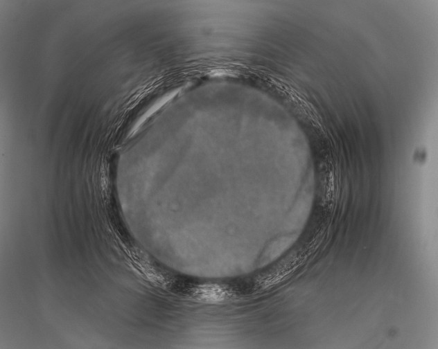 X0000116800704201001291540