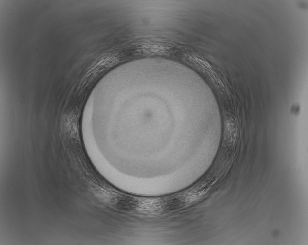X0000116800705201001291540