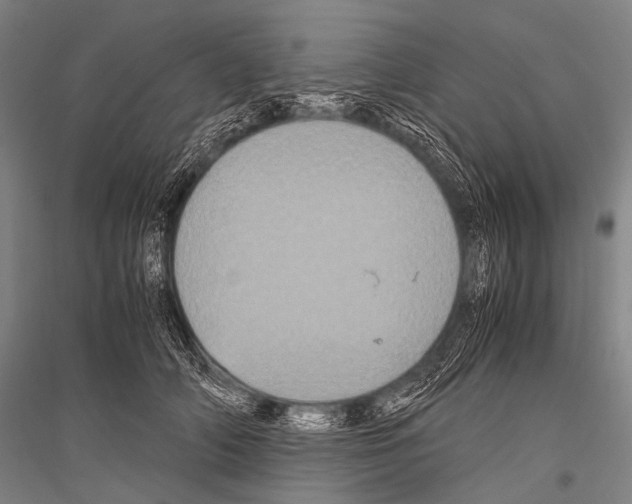 X0000116800706201001291540
