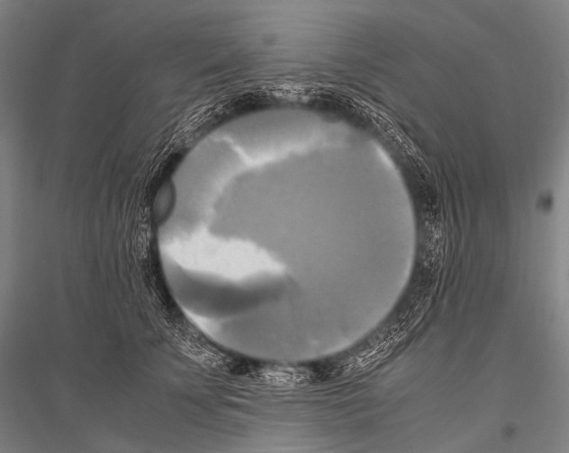 X0000116800707201001291540