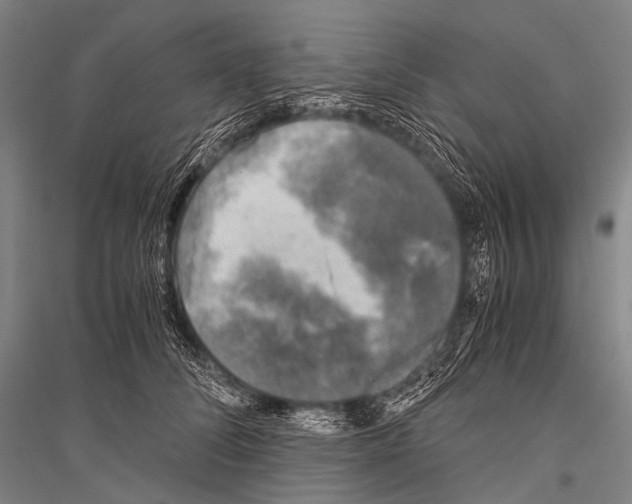 X0000116800708201001291540