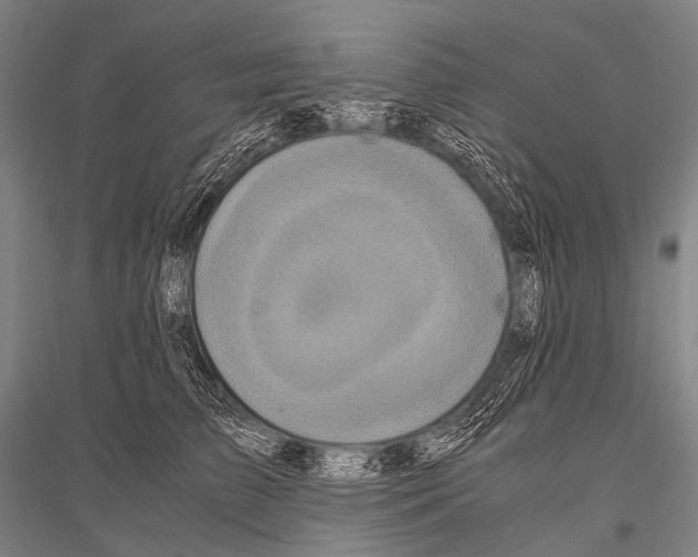 X0000116800709201001291540