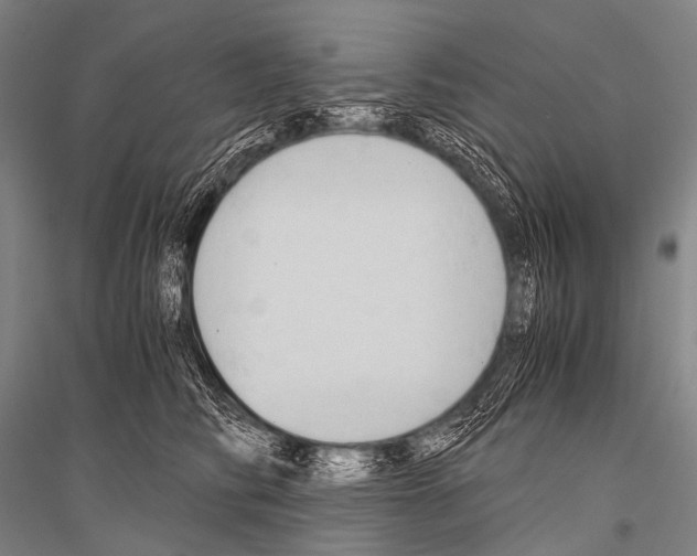 X0000116800710201001291540