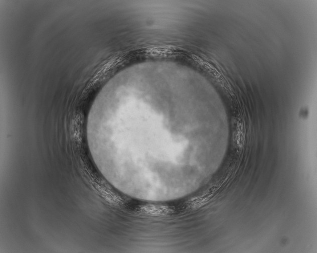 X0000116800712201001291540
