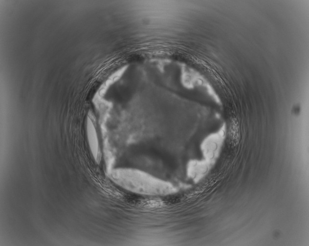 X0000116800715201001291540