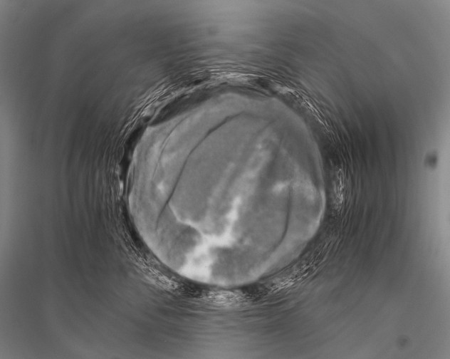 X0000116800716201001291540