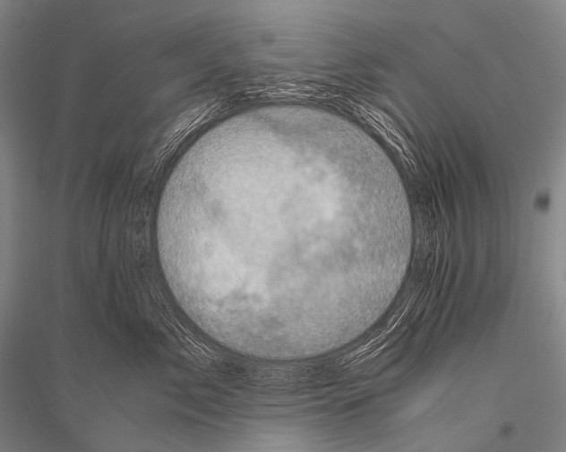 X0000116800717201001291540