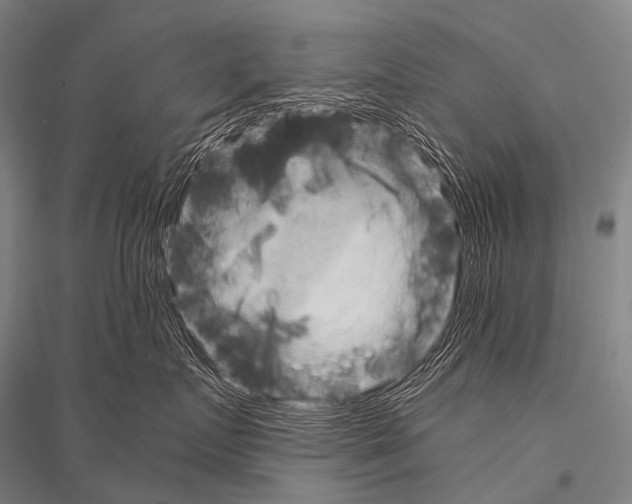 X0000116800719201001291540