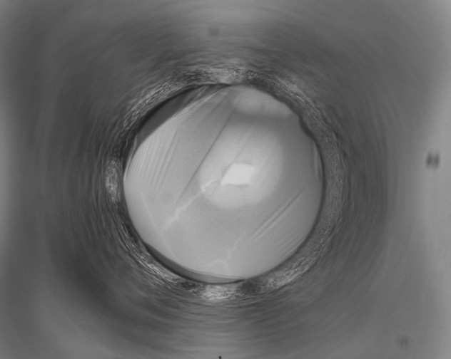 X0000116800720201001291540