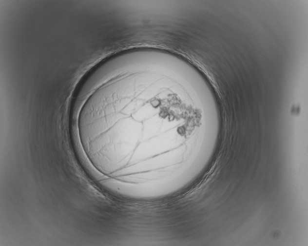X0000116800721201001291539