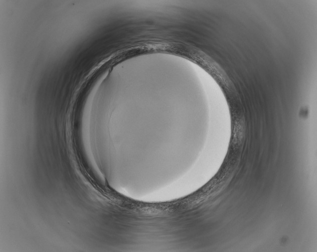 X0000116800722201001291539